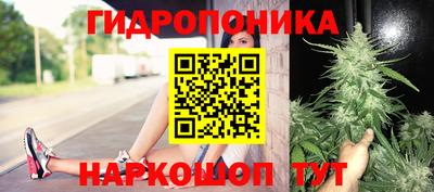 mix Ртищево