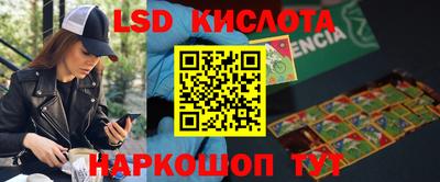 шишки Ростов Великий
