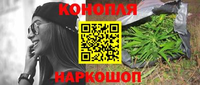 шишки Ростов Великий