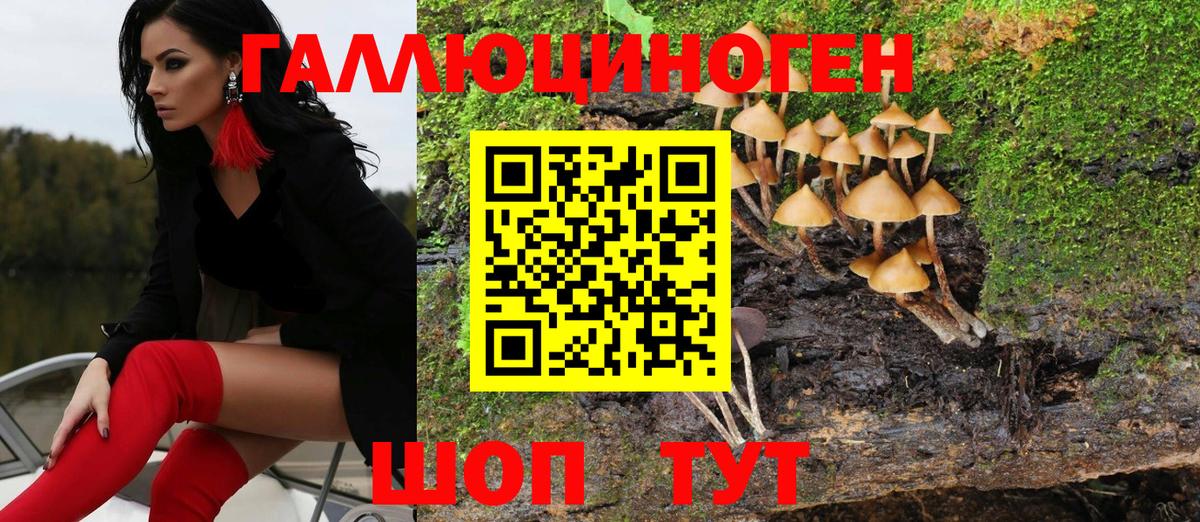 Елабуга  Галлюциногенные грибы Psilocybe  Псилоцибиновые грибы GOLDEN TEACHER  купить  цена  Вход с VPN 