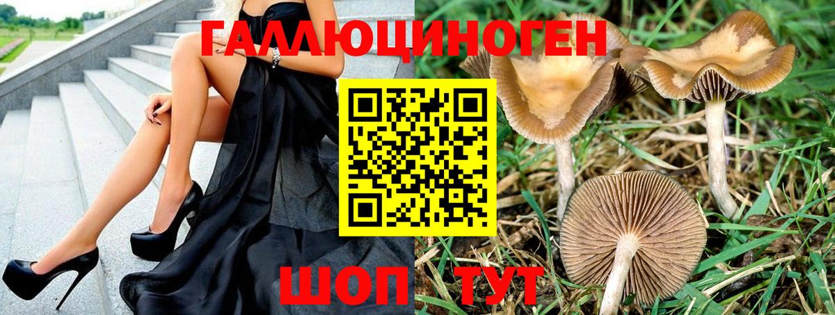 Галлюциногенные грибы Cubensis Елабуга